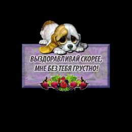 Открытки выздоравливай выздоравливай. желаю скорейшего выздоровления. не болей выздоравливай. желаю скорейшего выздоровления. не болей