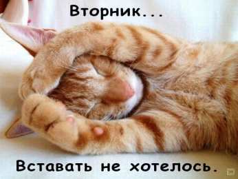 вторник вторник. с добрым вторником.