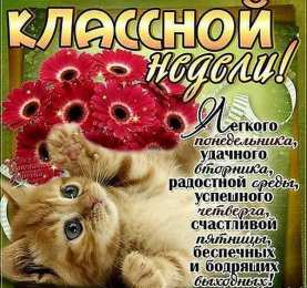 понедельник понедельник. открытки к понедельнику. опять понедельник. легкого