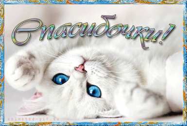 спасибо открытки спасибо, thank you, merci, благодарю тебя, большое спасибо