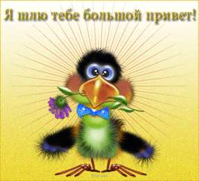  привет открытки привет, как дела. как настроение. пожелание хорошего дня