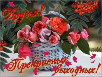 приятных выходных Приятных выходных