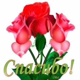 спасибо открытки спасибо, thank you, merci, благодарю тебя, большое спасибо