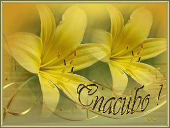 спасибо открытки спасибо, thank you, merci, благодарю тебя, большое спасибо