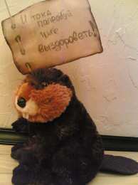 выздоравливай выздоравливай. желаю скорейшего выздоровления. не болей