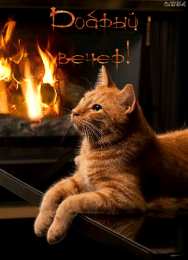 Открытки спокойной ночи спокойной ночи. открытки с пожеланием спокойной ночи. приятных снов. сладких снов. приятных сновидений. доброй ночи. нежных снов. волшебных снов. спите сладко  спокойной ночи. открытки с пожеланием спокойной ночи. приятных снов. сладких снов. приятных сновидений. доброй ночи. нежных снов. волшебных снов. спите сладко 