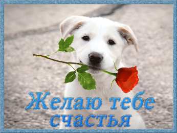 счастья счастья. открытки с пожеланием счастья