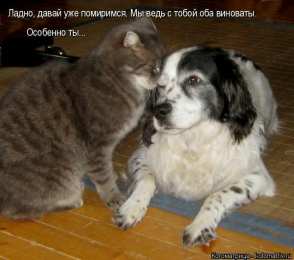 давай мириться Давай мириться