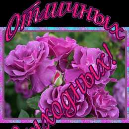 приятных выходных Приятных выходных