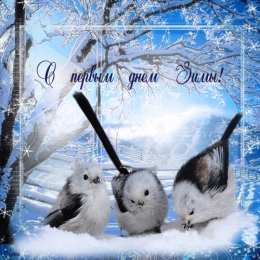 с первым днем зимы Открытки про весну