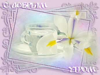 доброе утро доброе утро. открытки с добрым утром. с добрым утром. желаю доброго утра