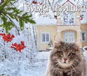 с первым днем зимы Открытки про весну