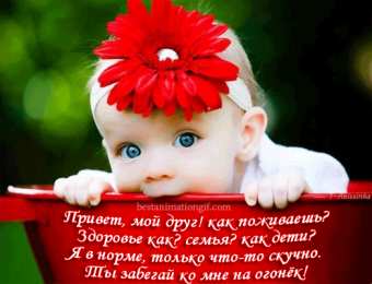  привет открытки привет, как дела. как настроение. пожелание хорошего дня