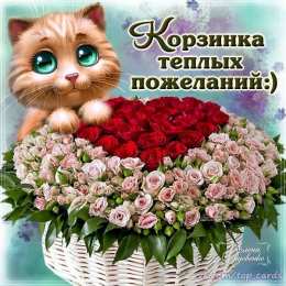 счастья счастья. открытки с пожеланием счастья