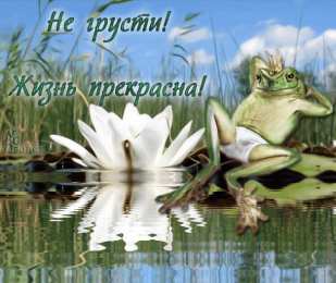 не грусти, не скучай не грусти. не скучай. все будет хорошо. улыбнись. все пройдет