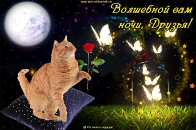 Открытки спокойной ночи спокойной ночи. открытки с пожеланием спокойной ночи. приятных снов. сладких снов. приятных сновидений. доброй ночи. нежных снов. волшебных снов. спите сладко  спокойной ночи. открытки с пожеланием спокойной ночи. приятных снов. сладких снов. приятных сновидений. доброй ночи. нежных снов. волшебных снов. спите сладко 