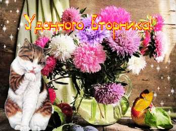 вторник вторник. с добрым вторником.