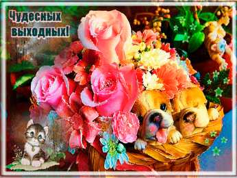 приятных выходных Приятных выходных