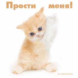 прости прости. прости меня. открытки прости. прости пожалуйста. прости меня пожалуйста. ты меня простишь? извини пожалуйста. давай помиримся. прости я больше так не буду