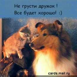 Открытки не грусти, не скучай не грусти. не скучай. все будет хорошо. улыбнись. все пройдет не грусти. не скучай. все будет хорошо. улыбнись. все пройдет