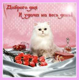 добрый день добрый день. открытки добрый день.доброго дня. хорошего дня. удачного дня