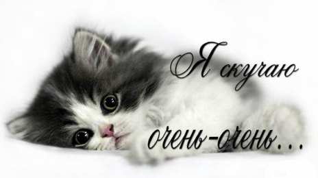 я скучаю открытки я скучаю. мне скучно без тебя. я соскучилась по тебе . i miss you.