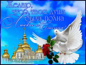 счастья счастья. открытки с пожеланием счастья