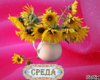 среда С веселой средой