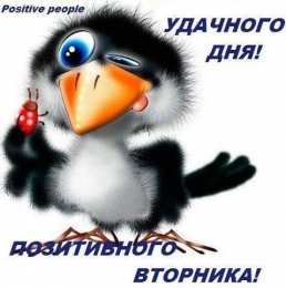 вторник вторник. с добрым вторником.