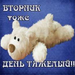 вторник вторник. с добрым вторником.