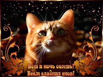 Открытки спокойной ночи спокойной ночи. открытки с пожеланием спокойной ночи. приятных снов. сладких снов. приятных сновидений. доброй ночи. нежных снов. волшебных снов. спите сладко  спокойной ночи. открытки с пожеланием спокойной ночи. приятных снов. сладких снов. приятных сновидений. доброй ночи. нежных снов. волшебных снов. спите сладко 