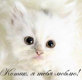 любимым открытки любимым с любовью. я тебя люблю. i love you. люблю больше жизни