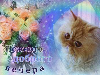 Открытки добрый вечер добрый вечер. приятного вечера. доброго вам вечера. хорошего вечера. приятного летнего вечера. отдыхайте с удовольствием .хорошего вечера, приятного общения добрый вечер. приятного вечера. доброго вам вечера. хорошего вечера. приятного летнего вечера. отдыхайте с удовольствием .хорошего вечера, приятного общения