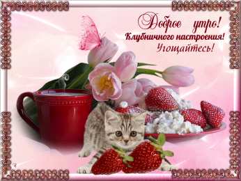 доброе утро доброе утро. открытки с добрым утром. с добрым утром. желаю доброго утра
