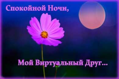 Открытки спокойной ночи спокойной ночи. открытки с пожеланием спокойной ночи. приятных снов. сладких снов. приятных сновидений. доброй ночи. нежных снов. волшебных снов. спите сладко  спокойной ночи. открытки с пожеланием спокойной ночи. приятных снов. сладких снов. приятных сновидений. доброй ночи. нежных снов. волшебных снов. спите сладко 