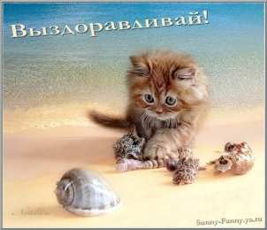 выздоравливай выздоравливай. желаю скорейшего выздоровления. не болей