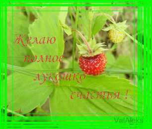 счастья счастья. открытки с пожеланием счастья