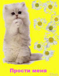 прости прости. прости меня. открытки прости. прости пожалуйста. прости меня пожалуйста. ты меня простишь? извини пожалуйста. давай помиримся. прости я больше так не буду