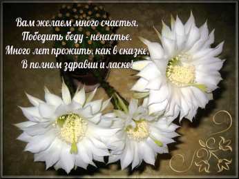 счастья счастья. открытки с пожеланием счастья