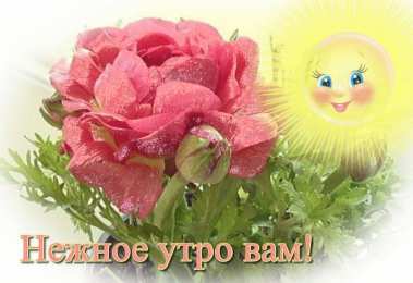 доброе утро доброе утро. открытки с добрым утром. с добрым утром. желаю доброго утра