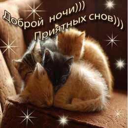 спокойной ночи спокойной ночи. открытки с пожеланием спокойной ночи. приятных снов. сладких снов. приятных сновидений. доброй ночи. нежных снов. волшебных снов. спите сладко 