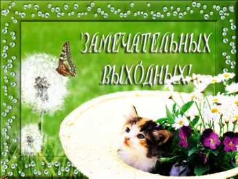 приятных выходных Приятных выходных