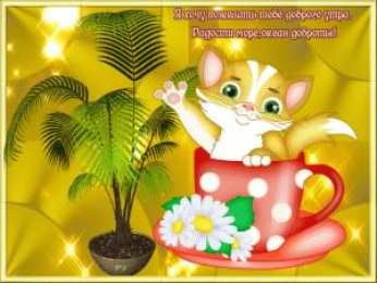 доброе утро доброе утро. открытки с добрым утром. с добрым утром. желаю доброго утра