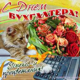 день бухгалтера день бухгалтера. с днем бухгалтера. поздравляю с праздником, бухгалтера, поздравления и пожелания с днем бухгалтера. открытки к празднику день бухгалтера,