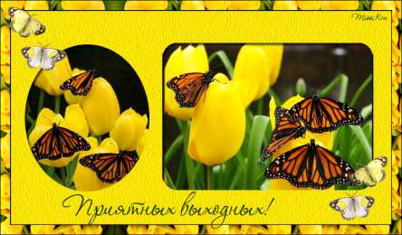 приятных выходных Приятных выходных