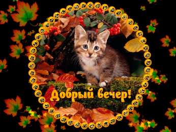 добрый вечер добрый вечер. приятного вечера. доброго вам вечера. хорошего вечера. приятного летнего вечера. отдыхайте с удовольствием .хорошего вечера, приятного общения