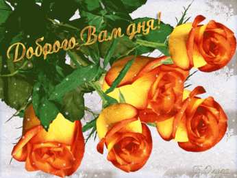 добрый день добрый день. открытки добрый день.доброго дня. хорошего дня. удачного дня