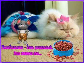 понедельник понедельник. открытки к понедельнику. опять понедельник. легкого