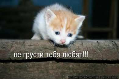 не грусти, не скучай не грусти. не скучай. все будет хорошо. улыбнись. все пройдет