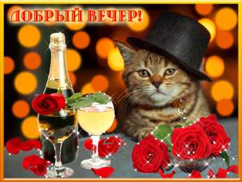 добрый вечер добрый вечер. приятного вечера. доброго вам вечера. хорошего вечера. приятного летнего вечера. отдыхайте с удовольствием .хорошего вечера, приятного общения